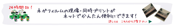�l�K�t�B�����̌����E�����v�����g���l�b�g�ł��񂽂�֗��ɂł��܂��I